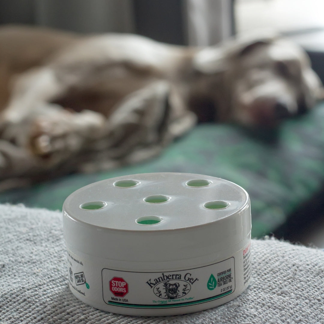 KANBERRA GEL® POD | Airborne Tea Tree Oil Odour Eliminator